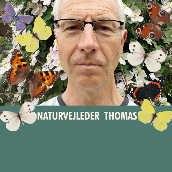 Naturvejleder Thomas