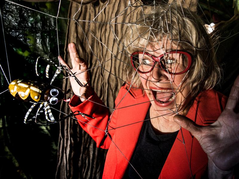 Damen der blev et træ